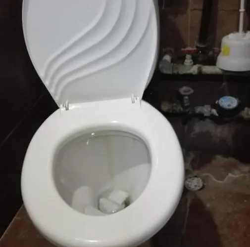 на пъпа на варна, входа на морската градина Campsite